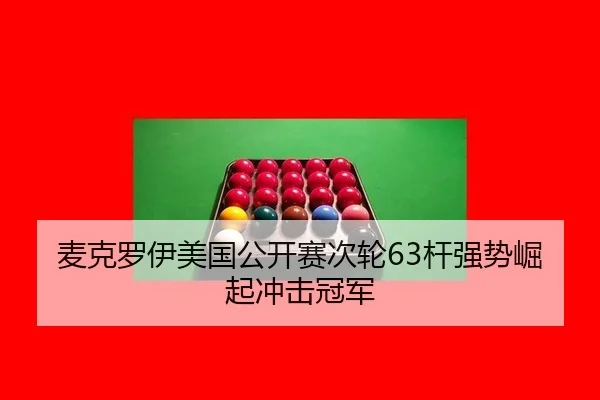 mai-ke-luo-yi-mei-guo-gong-kai-sai-ci-lun-gan-qiang-shi-jue-qi-chong-ji-guan-jun-2-505.jpg