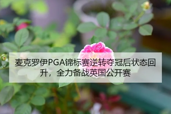 麦克罗伊PGA锦标赛逆转夺冠后状态回升，全力备战英国公开赛