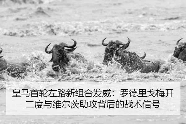 huang-ma-shou-lun-zuo-lu-xin-zu-he-fa-wei-luo-de-li-ge-mei-kai-er-du-yu-wei-er-ci-zhu-gong-bei-hou-de-zhan-shu-xin-hao-2-455.jpg